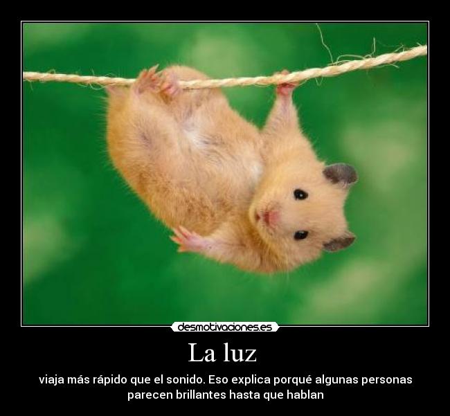 La luz -