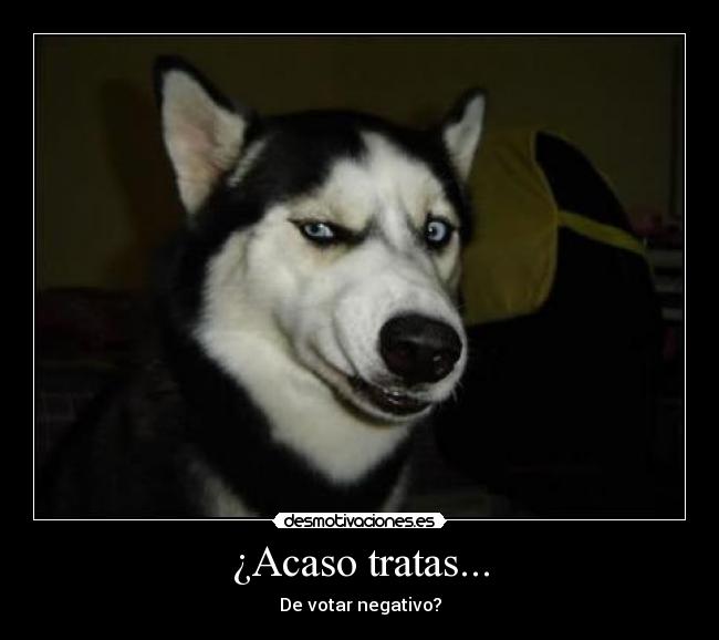 ¿Acaso tratas... - De votar negativo?