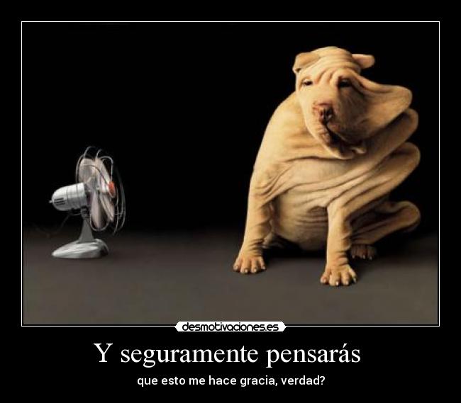 Y seguramente pensarás -