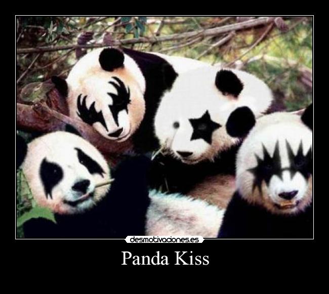 Panda Kiss -