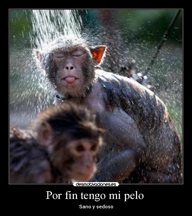 Por fin tengo mi pelo -