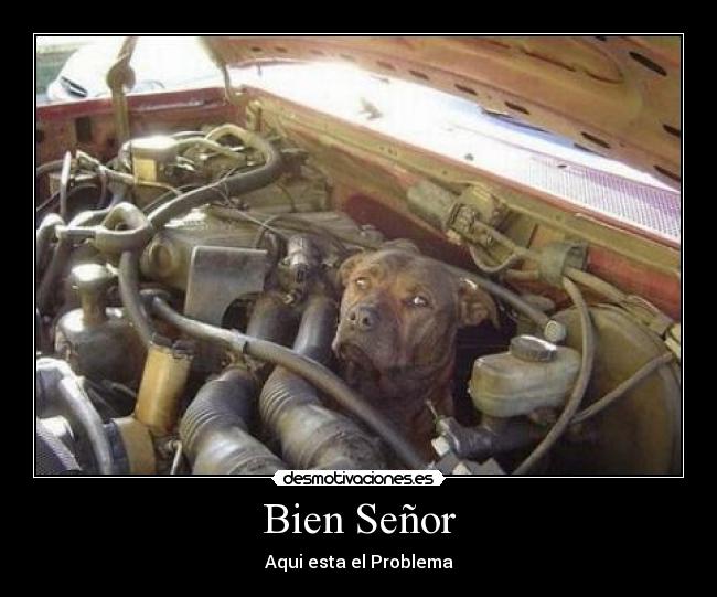Bien Señor - 