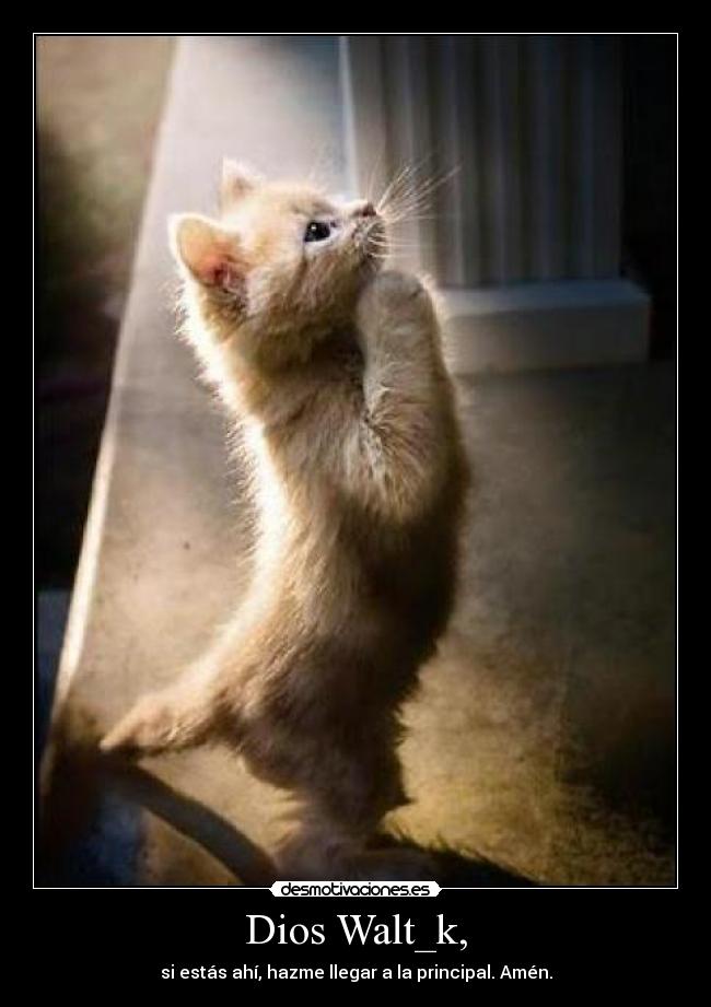 Dios Walt_k, - 