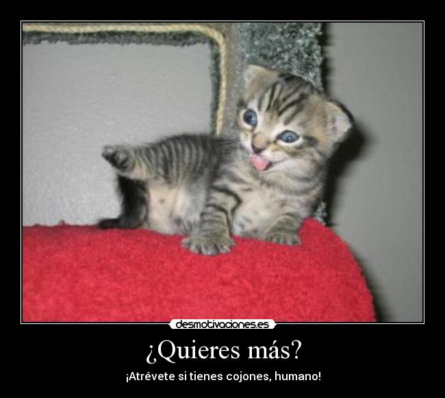 ¿Quieres más? - 