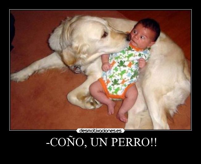 carteles perros cono bebe desmotivaciones