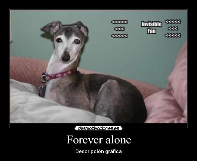 Forever alone - Descripción gráfica