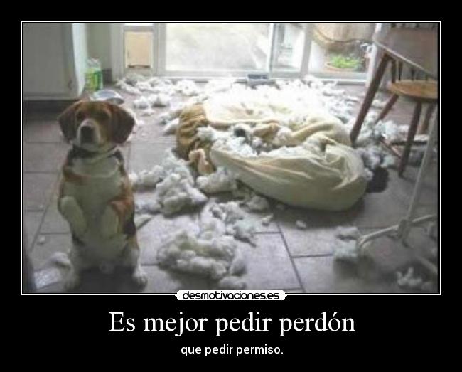 Es mejor pedir perdón - 