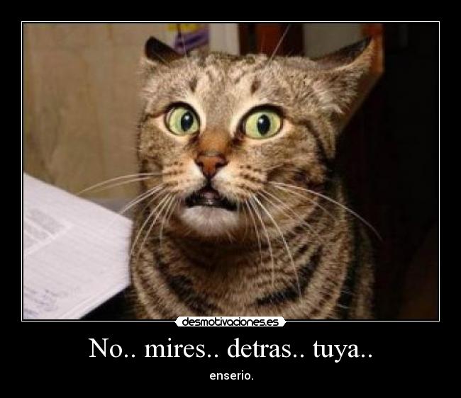 No.. mires.. detras.. tuya.. - enserio.