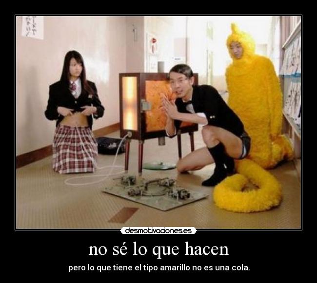 no sé lo que hacen -