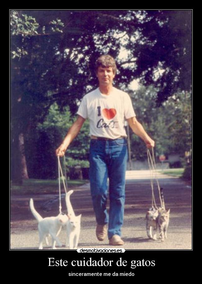 Este cuidador de gatos - 