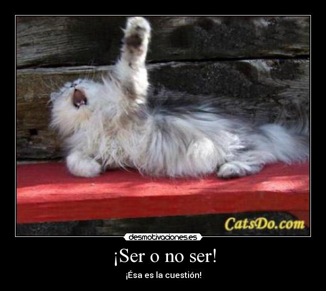 ¡Ser o no ser! - ¡Ésa es la cuestión!