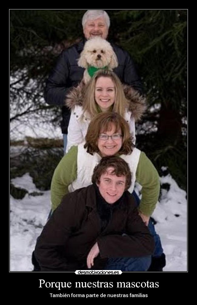 Porque nuestras mascotas - 