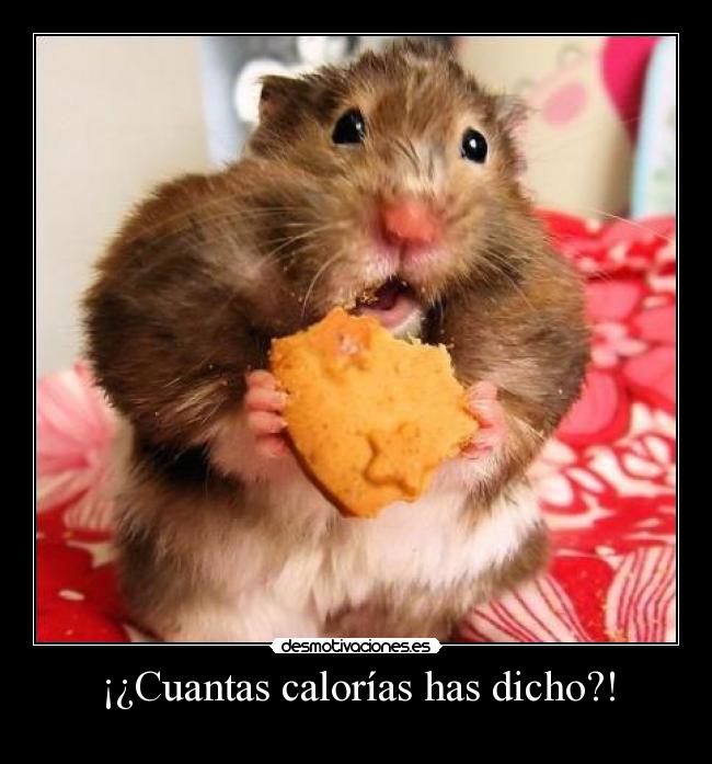 ¡¿Cuantas calorías has dicho?! - 