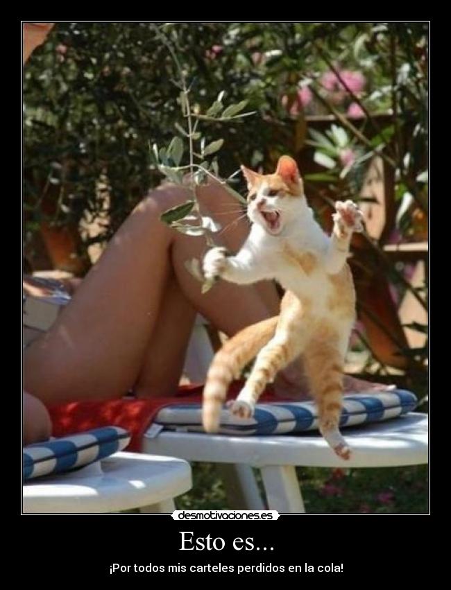 Esto es... - ¡Por todos mis carteles perdidos en la cola!