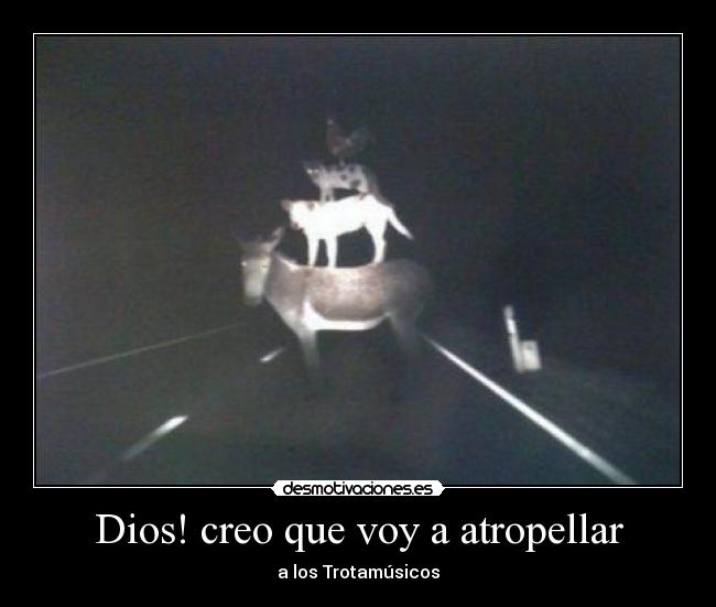 Dios! creo que voy a atropellar - 