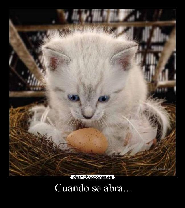 Cuando se abra... - 