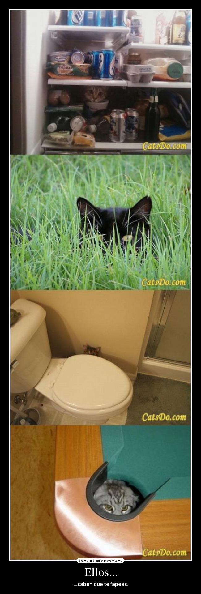 Ellos... - ...saben que te fapeas.