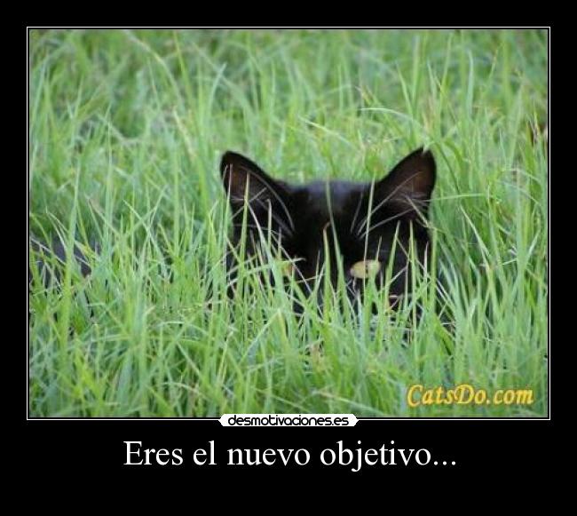 Eres el nuevo objetivo... -