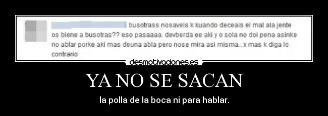 YA NO SE SACAN - 