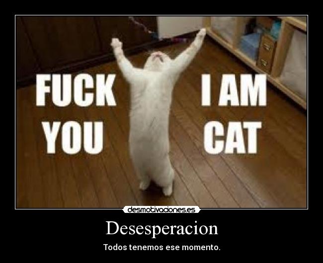 Desesperacion - Todos tenemos ese momento.