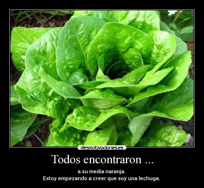 Todos encontraron ... - a su media naranja.
Estoy empezando a creer que soy una lechuga.