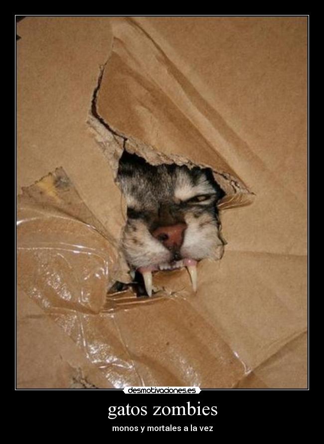 gatos zombies - monos y mortales a la vez