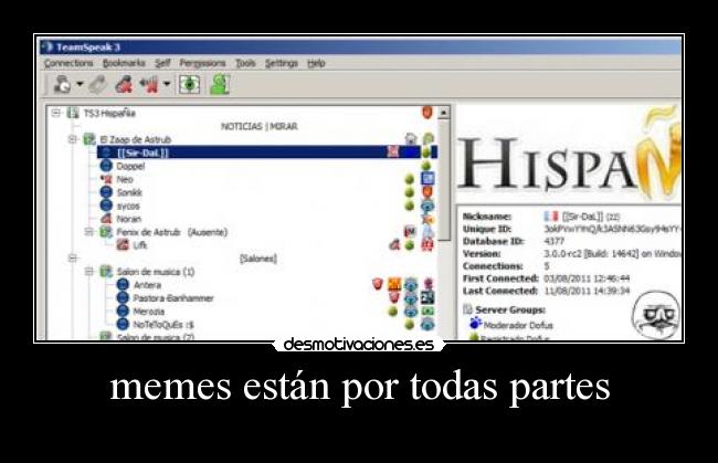 memes están por todas partes -