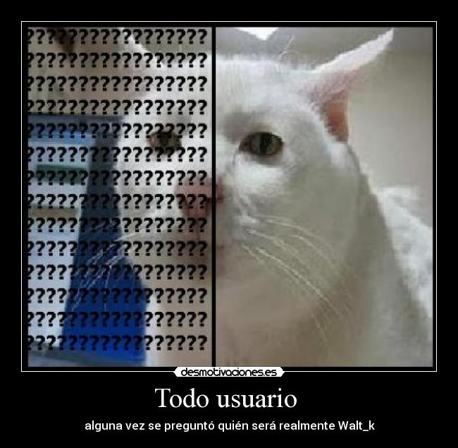 Todo usuario  - alguna vez se preguntó quién será realmente Walt_k
