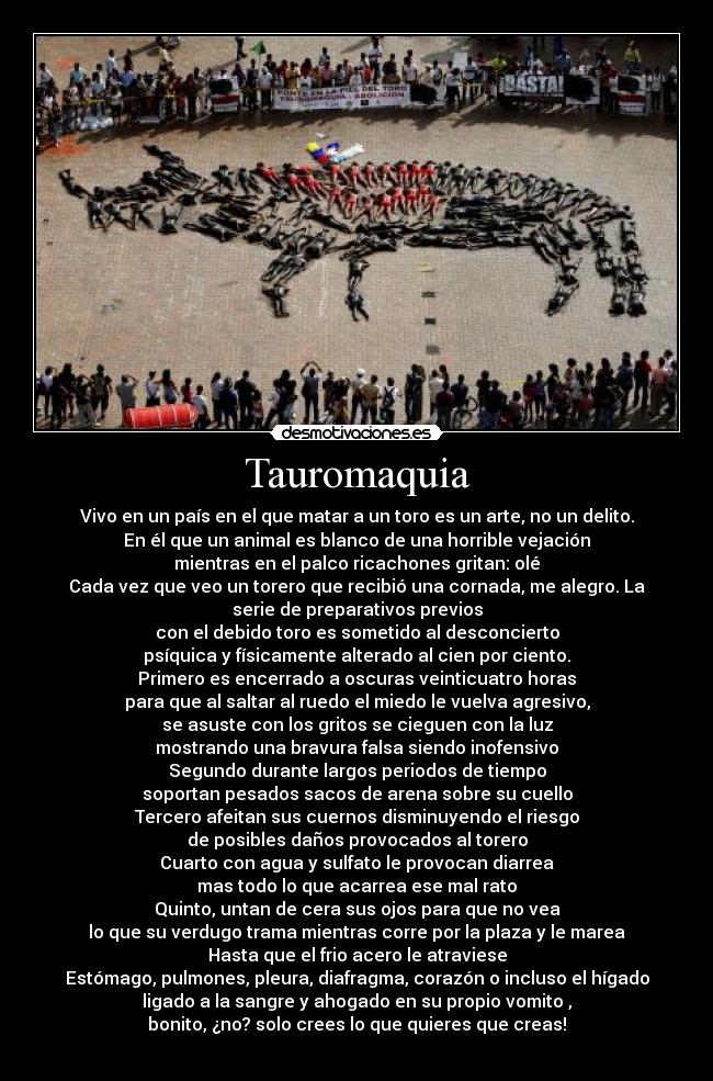 Tauromaquia - Vivo en un país en el que matar a un toro es un arte, no un delito.
En él que un animal es blanco de una horrible vejación
mientras en el palco ricachones gritan: olé
Cada vez que veo un torero que recibió una cornada, me alegro. La
serie de preparativos previos
con el debido toro es sometido al desconcierto
psíquica y físicamente alterado al cien por ciento.
Primero es encerrado a oscuras veinticuatro horas
para que al saltar al ruedo el miedo le vuelva agresivo,
se asuste con los gritos se cieguen con la luz
mostrando una bravura falsa siendo inofensivo
Segundo durante largos periodos de tiempo
soportan pesados sacos de arena sobre su cuello
Tercero afeitan sus cuernos disminuyendo el riesgo
de posibles daños provocados al torero
Cuarto con agua y sulfato le provocan diarrea
mas todo lo que acarrea ese mal rato
Quinto, untan de cera sus ojos para que no vea
lo que su verdugo trama mientras corre por la plaza y le marea
Hasta que el frio acero le atraviese
Estómago, pulmones, pleura, diafragma, corazón o incluso el hígado
ligado a la sangre y ahogado en su propio vomito ,
bonito, ¿no? solo crees lo que quieres que creas!