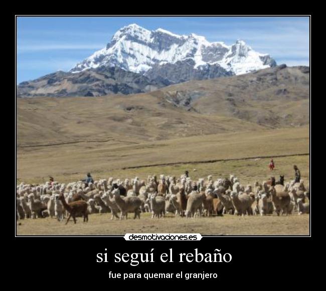 si seguí el rebaño - fue para quemar el granjero
