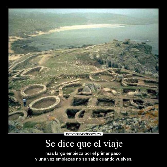 carteles invertebrada desmotivaciones