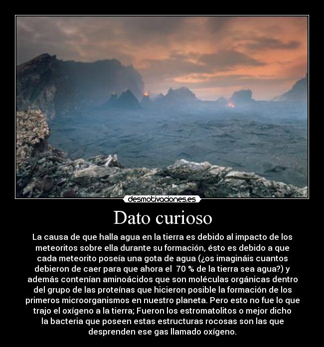 Dato curioso - La causa de que halla agua en la tierra es debido al impacto de los
meteoritos sobre ella durante su formación, ésto es debido a que
cada meteorito poseía una gota de agua (¿os imagináis cuantos
debieron de caer para que ahora el  70 % de la tierra sea agua?) y
además contenían aminoácidos que son moléculas orgánicas dentro
del grupo de las proteínas que hicieron posible la formación de los
primeros microorganismos en nuestro planeta. Pero esto no fue lo que
trajo el oxígeno a la tierra; Fueron los estromatolitos o mejor dicho
la bacteria que poseen estas estructuras rocosas son las que
desprenden ese gas llamado oxígeno.