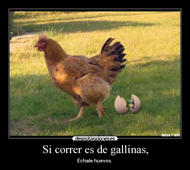 Si correr es de gallinas, - Échale huevos.
