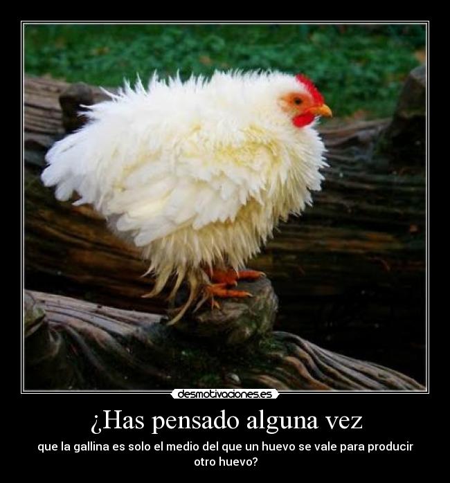 ¿Has pensado alguna vez - que la gallina es solo el medio del que un huevo se vale para producir otro huevo?