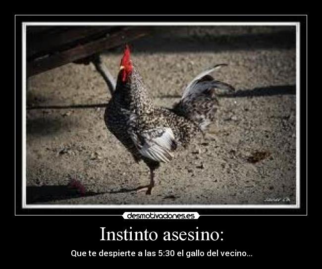 Instinto asesino: - 