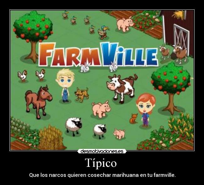 Típico  - 