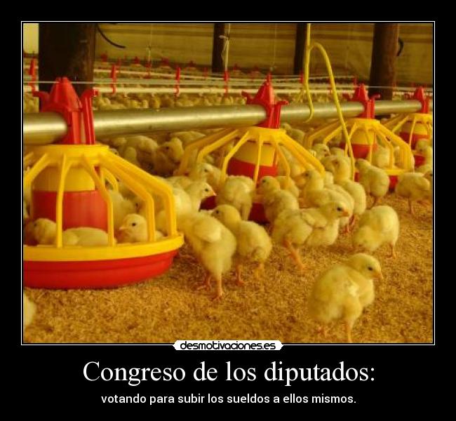 Congreso de los diputados: - votando para subir los sueldos a ellos mismos.
