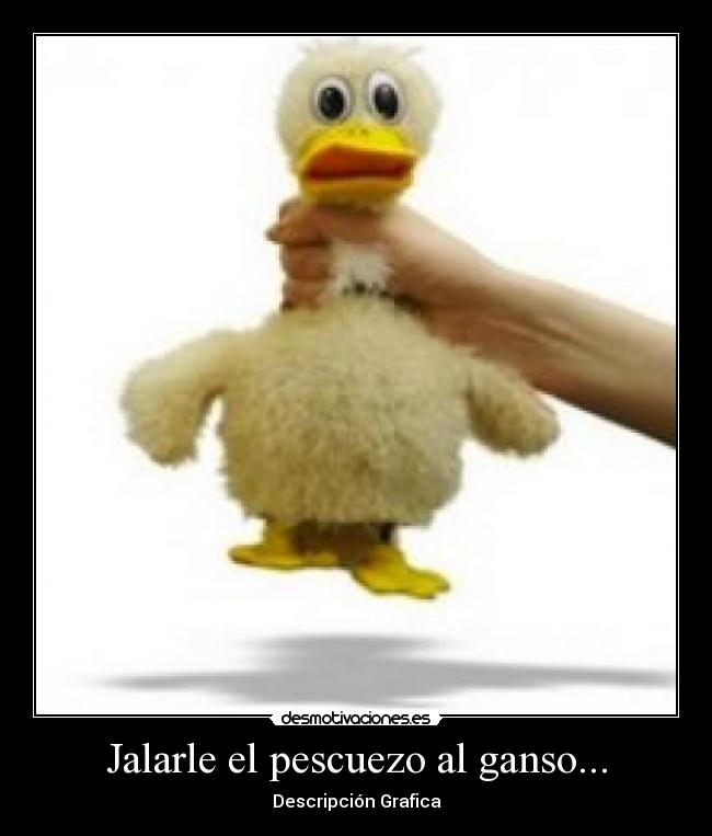 Jalarle el pescuezo al ganso... - Descripción Grafica