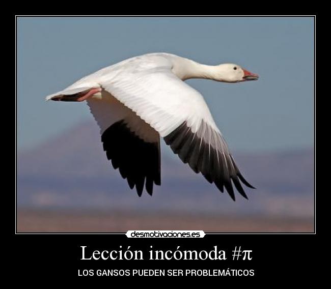 carteles hasta los huevos estos carteles desmotivaciones