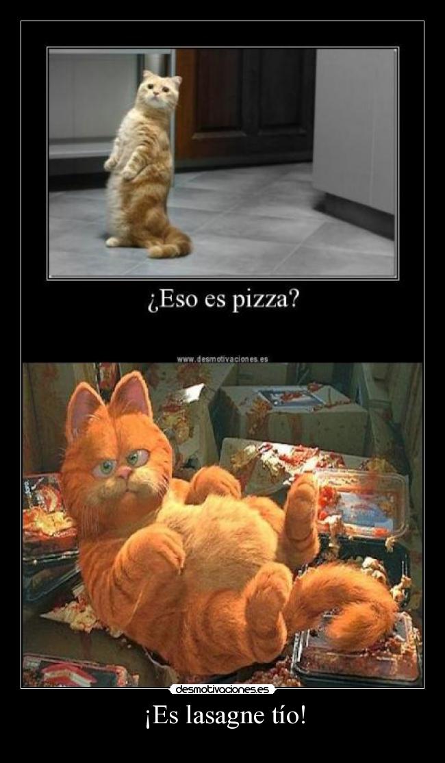¡Es lasagne tío! -