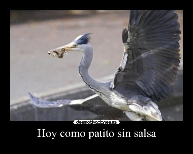 carteles fefeeeweweewewewew desmotivaciones