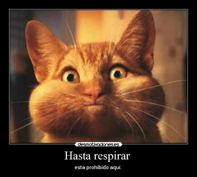 carteles repirar desmotivaciones