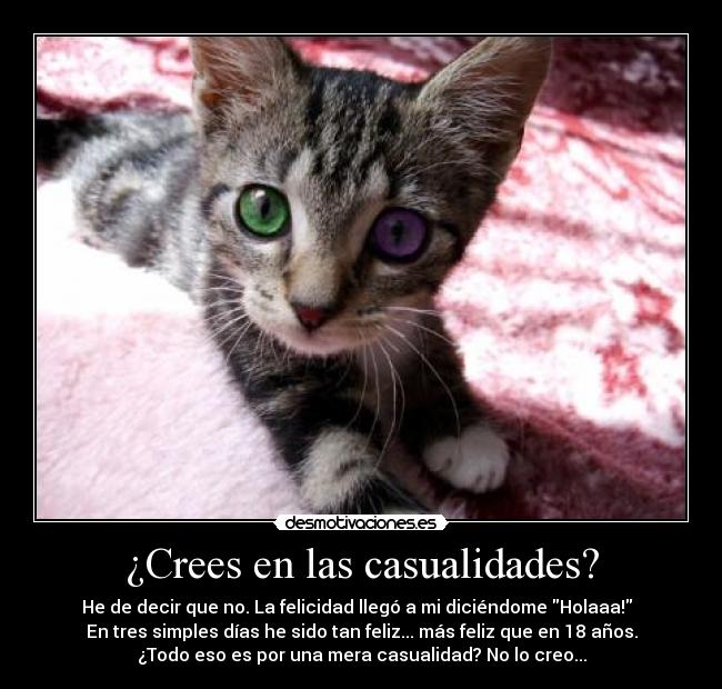 ¿Crees en las casualidades? -