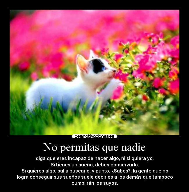 No permitas que nadie - 