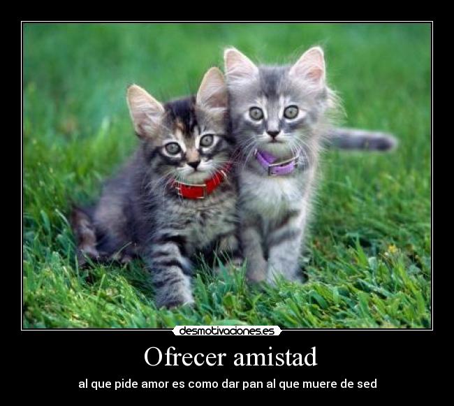 Ofrecer amistad -