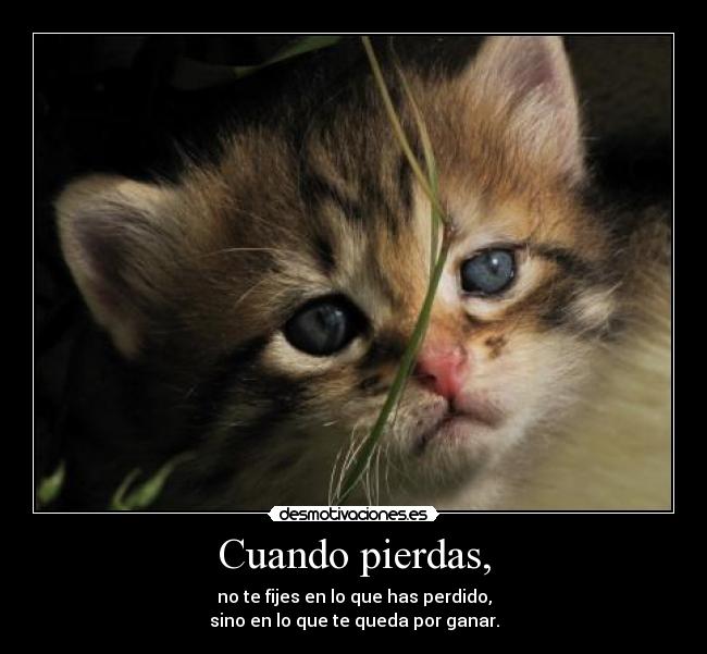 Cuando pierdas, - no te fijes en lo que has perdido,
sino en lo que te queda por ganar.