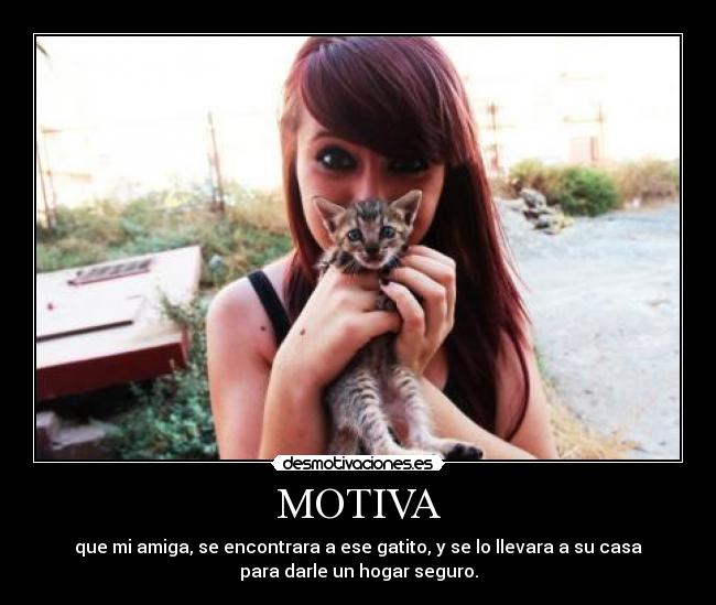 MOTIVA -