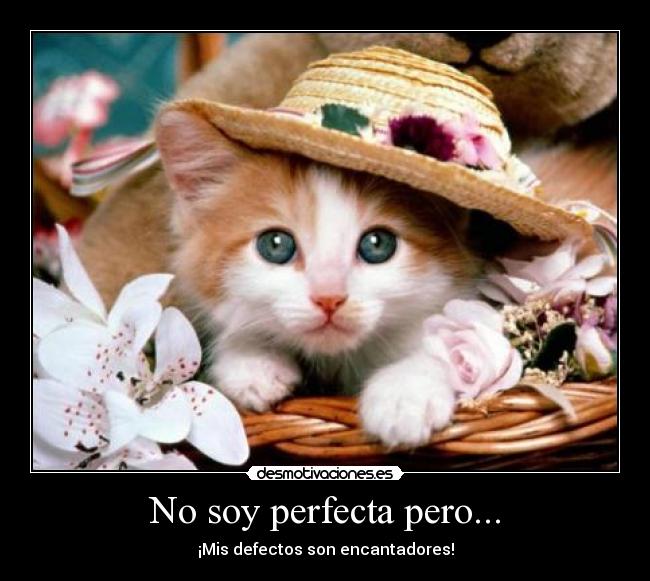 No soy perfecta pero... -