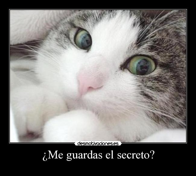 ¿Me guardas el secreto? - 