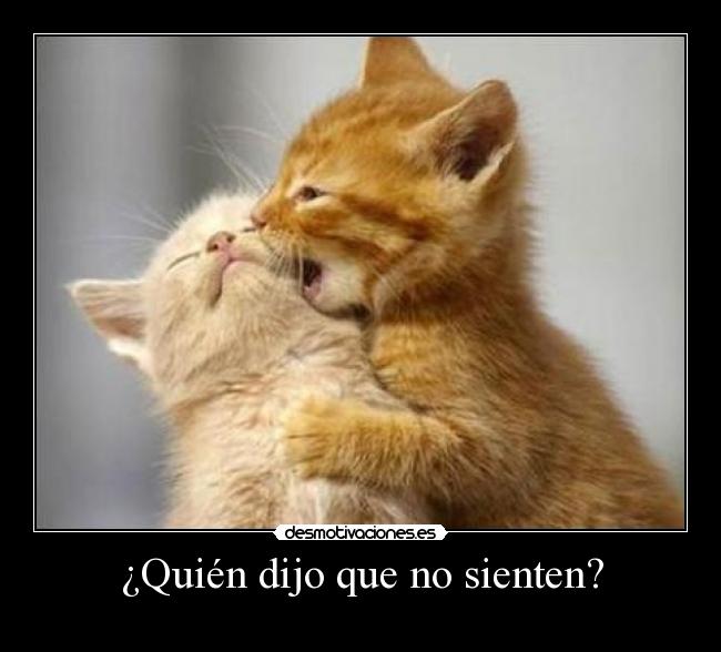 ¿Quién dijo que no sienten? -